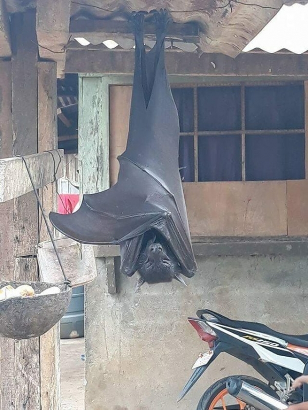 Мерзость вокруг нас