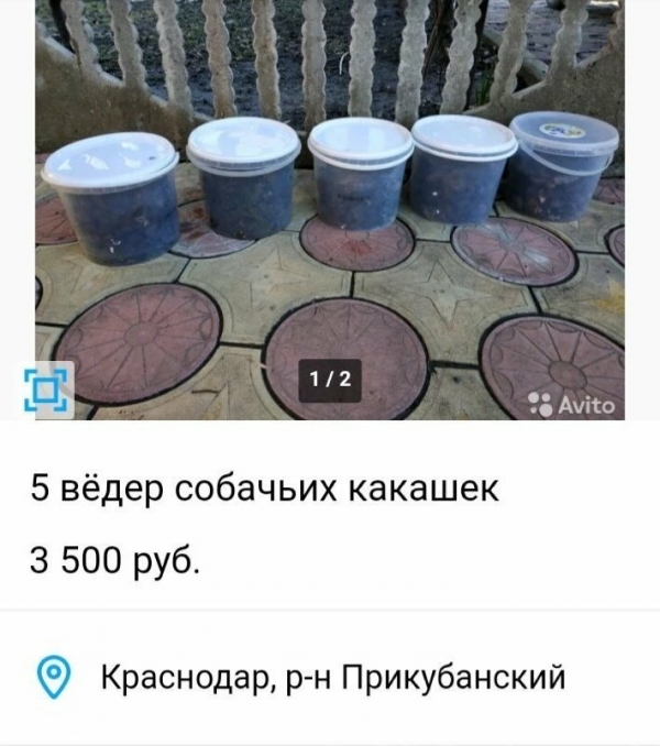 Глупые  объявления на  Avito