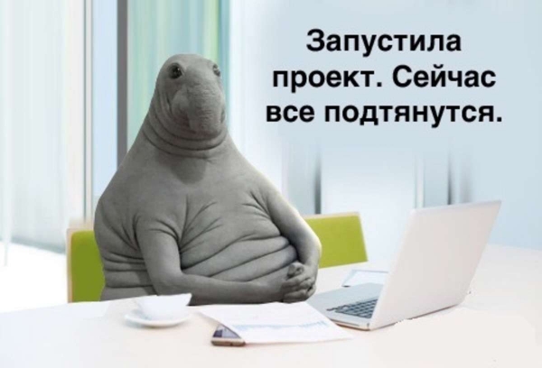 Прикольные мемы с ждуном