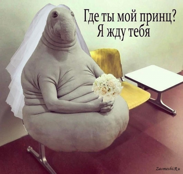 Прикольные мемы с ждуном