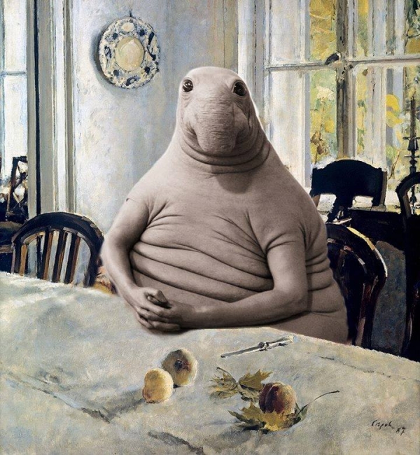 Прикольные мемы с ждуном