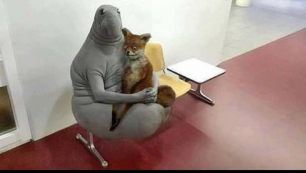 Прикольные мемы с ждуном