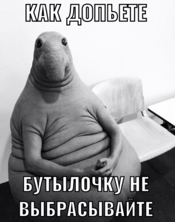 Прикольные мемы с ждуном