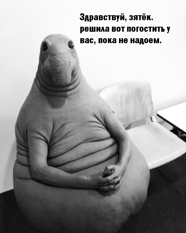 Прикольные мемы с ждуном