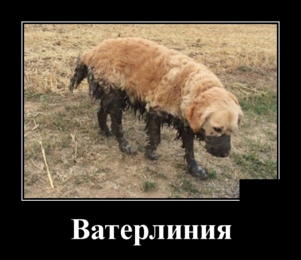 Демов пост
