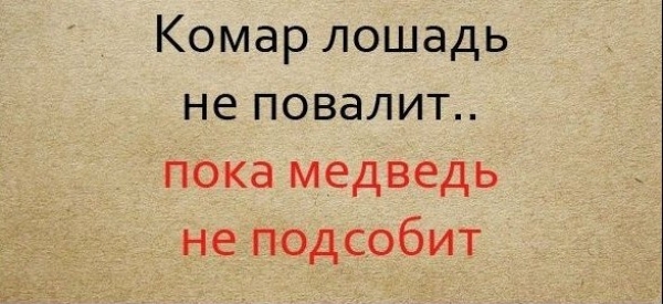 Известные пословицы, продолжение которых наверняка не помним
