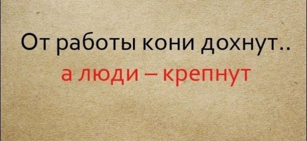 Известные пословицы, продолжение которых наверняка не помним