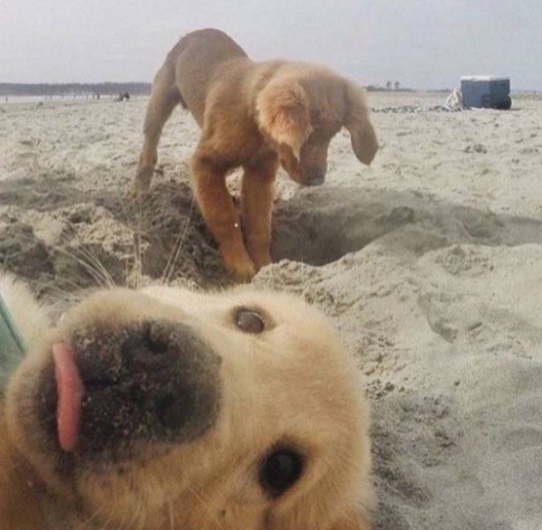 Нечаянно испорченные фотографии