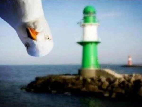 Нечаянно испорченные фотографии
