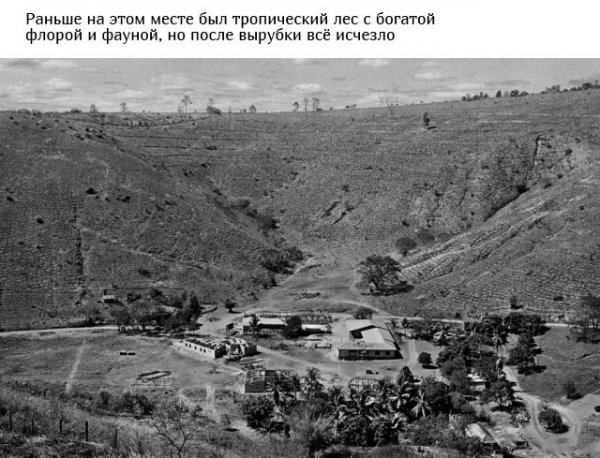 Спасение планеты в наших руках