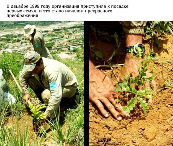 Спасение планеты в наших руках