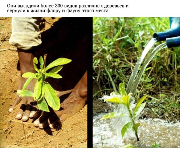 Спасение планеты в наших руках