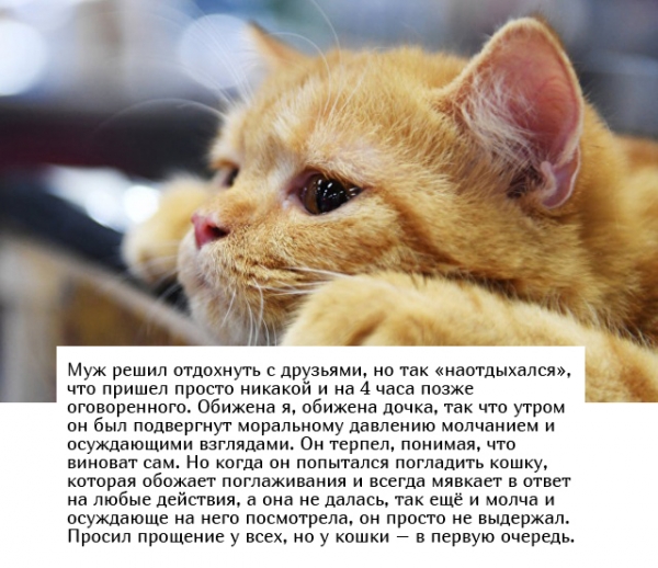 Жизненные истории из соцсетей