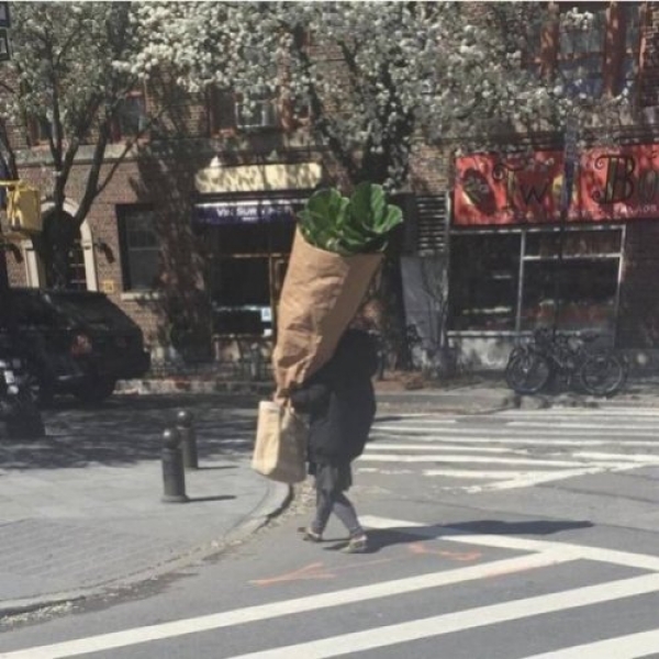 Вот это размерчик