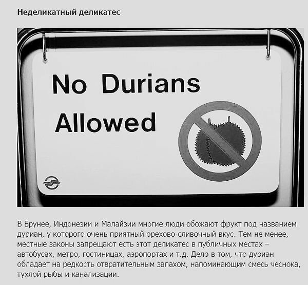 В каком городе запрещено умирать и другие нелепые законы