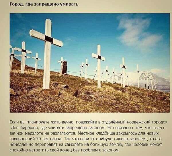 В каком городе запрещено умирать и другие нелепые законы