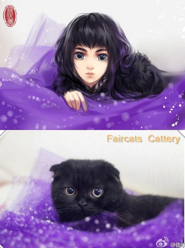 Если бы кошки стали девушками