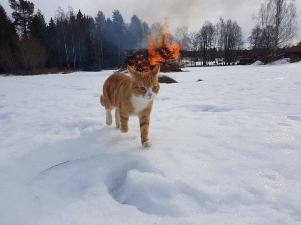 Подборка прикольных фото