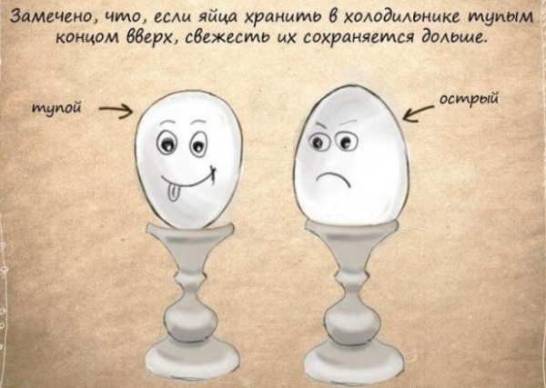 Полезные рекомендации домохозяйкам