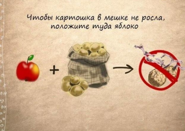 Полезные рекомендации домохозяйкам