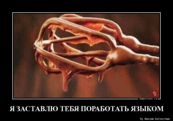 Демы на любой вкус