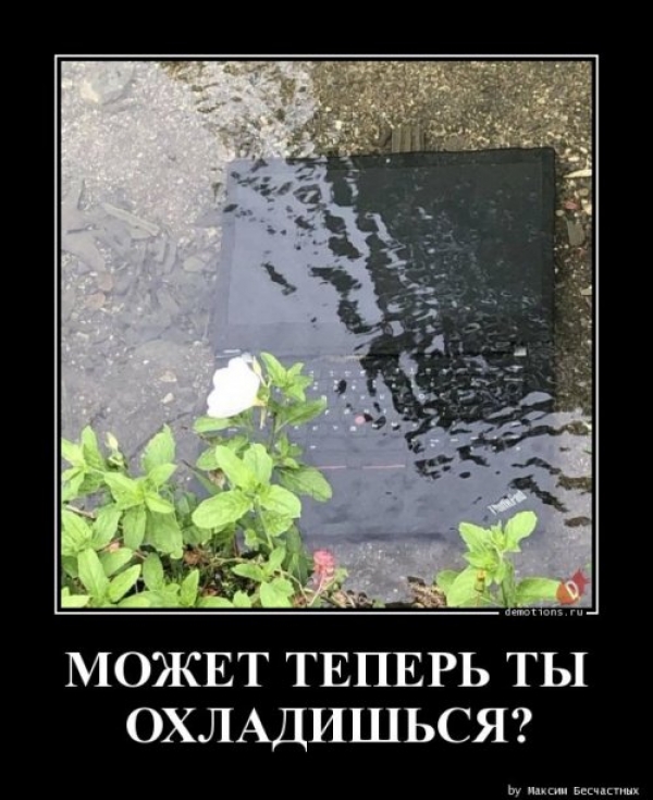 Демы на любой вкус