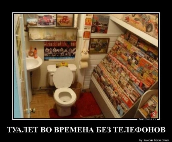 Демы на любой вкус