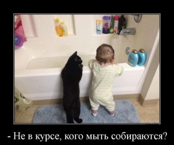 Демы на любой вкус