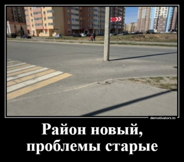 Демы на любой вкус