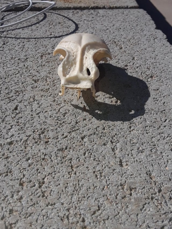 Прикольные находки найденные на берегу моря