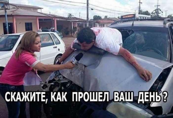 Прикольные картинки для настроения