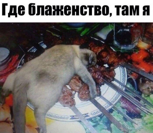 Прикольные картинки для настроения
