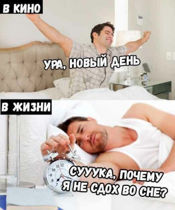Прикольные картинки для настроения