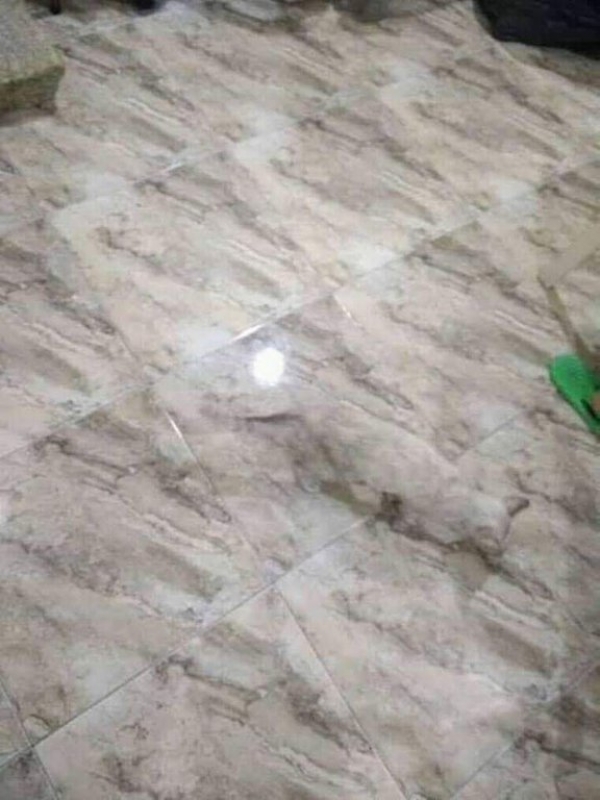 Фото на которые надо смотреть дважды