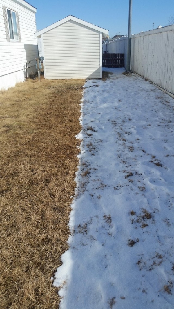 Все познается в сравнении