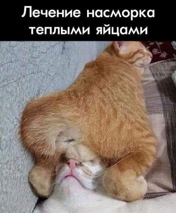Прикольная подборка