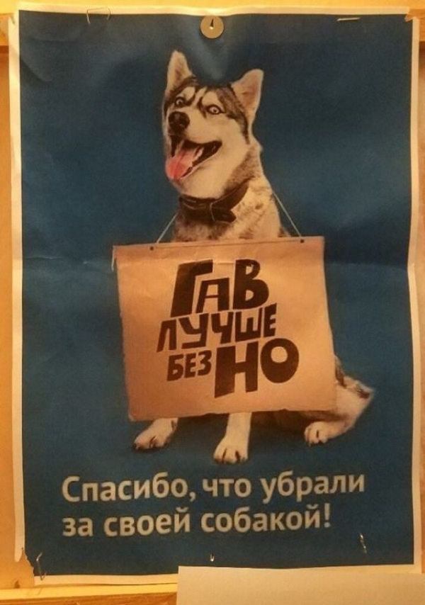 Креативность некоторых вывесок удивляет