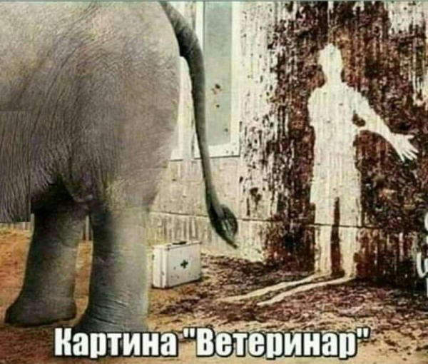 Смешная подборочка