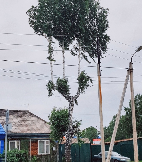 Необычайной красоты снимки творений природы и человека