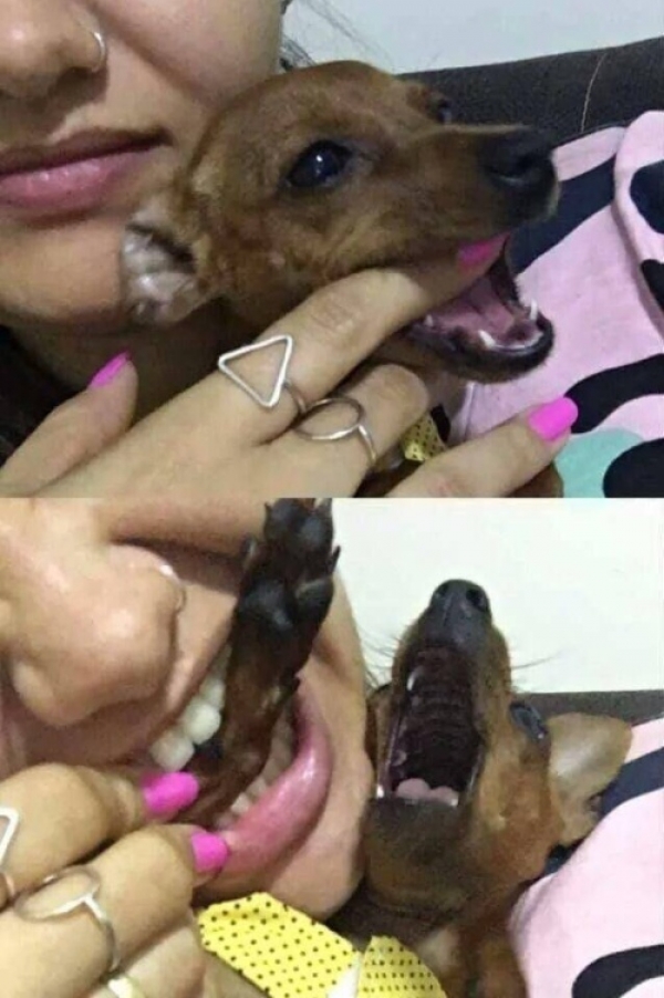 Прикольные картинки