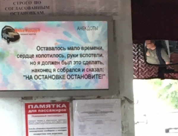 Прикольные картинки
