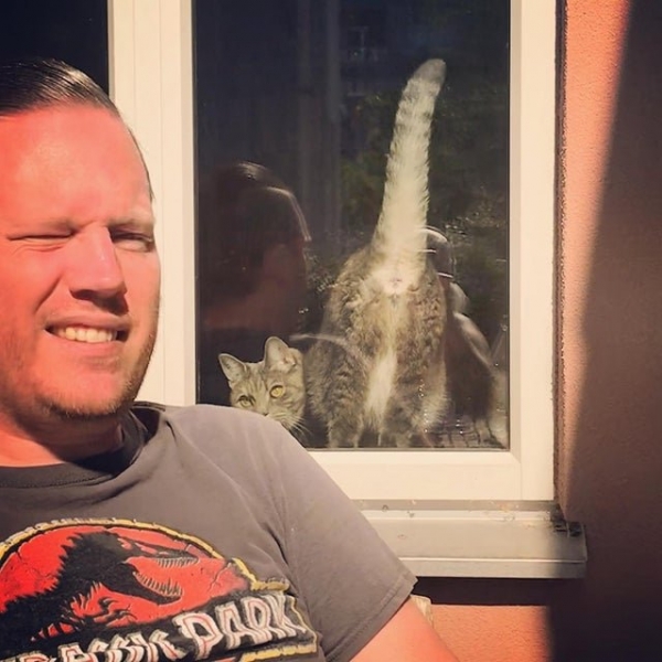 Обнаглевшие домашние питомцы