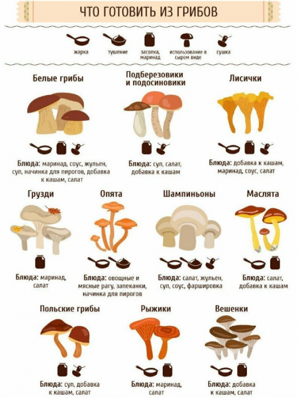 Полезные кухонные шпаргалки для хозяюшек