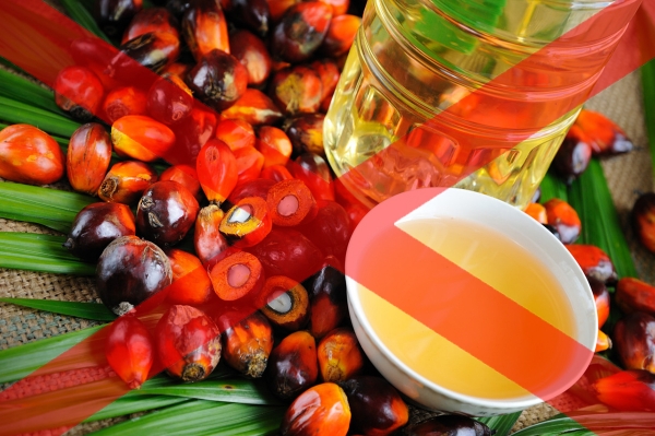 В Україні заборонять використовувати пальмову олію у виробництві харчових продуктів