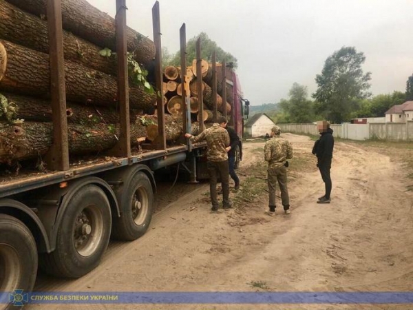 В Харківській області СБУ затримала шість вантажних автомобілів з деревиною