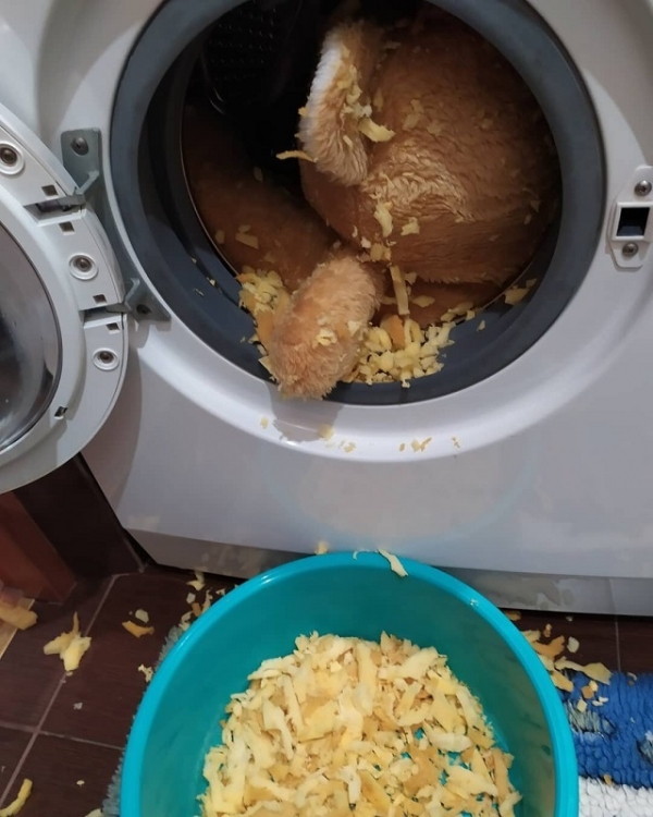 Вот так выглядит неудачная стирка