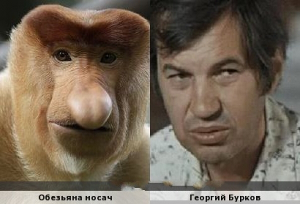 Двойники среди известных людей