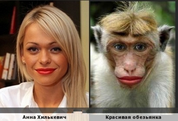 Двойники среди известных людей
