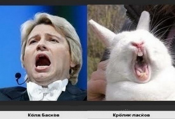Двойники среди известных людей