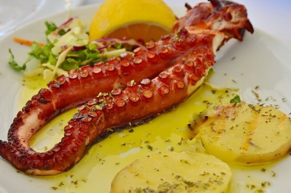 Путеводитель по морепродуктам